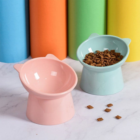 Pet  Bowl with Raised Stand