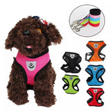 Breathable Cat Harness And Leash