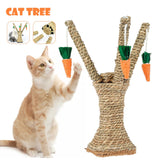 Pet Scratching Post Toy