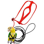 Parrot Bird Harness Leash Outdoor Flying Training Rope