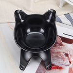Black Non-Slip Double Food Bowl Pet Feeder