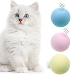 Smart Cat Toys Interactive Ball Catnip