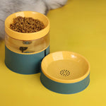 Pet Automatic Drinking Water Feeder