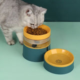 Pet Automatic Drinking Water Feeder