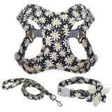 French Bulldog Harness Leash And Collar Set