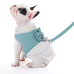 Cute Chihuahua Yorkie Dog Cat Harness Leash Set