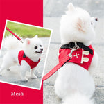 Harness Collar For Pet Spitz Vest+Leash 2 Pcs