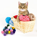 Pompoms Colorful Cat Toys for Indoor