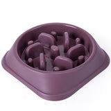 Pet Dog Slow Feeder Bowl Non Slip Puzzle Bowl