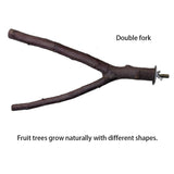 Natural Wood Pet Parrot Raw Wood Fork