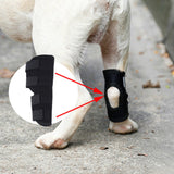 Pet Knee Pad Dog Postoperative Rehabilitation