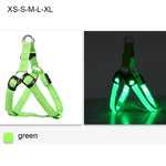 Rechargeable LED Nylon Dog Harness