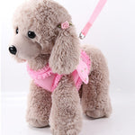 Miflame Angel Wings Dogs Harness