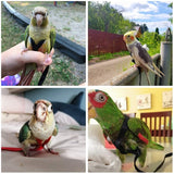 Parrot Bird Harness Leash Outdoor Flying Training Rope