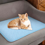 Cooling Summer Pad Mat For Dogs