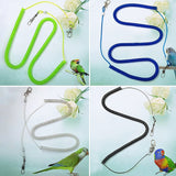 Parrot Bird Leash Flying Training Rope