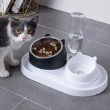 Cat Dog Bowl 15 Degrees Tilted Stainless Steel