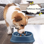 Pet Dog Slow Feeder Bowl Non Slip Puzzle Bowl