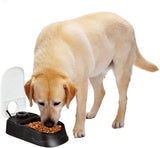 PAWISE Automatic Pet Feeder Food Dispenser