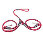 Strong Nylon Ribbon Double Dog Leash