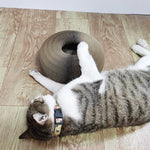 Magic Organ Cat Scratch Board Toy with Bell