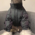 Winter Jacket for Dogs