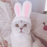 2022/Cat Hood Cute Rabbit Costume Hat