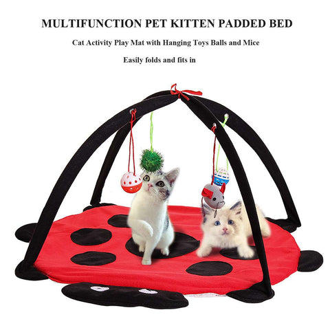 Funny Tent Portable Cat Toys