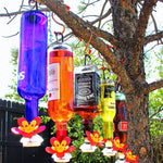 Flower Hummingbird Feeder Bird Seed Green