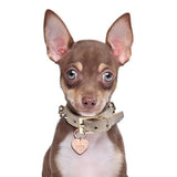 Personalized Tag Keychain Engraved Pet ID