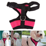 Pet Harness collar