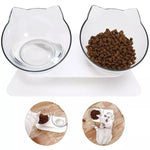 Non-slip Bowls Double Pet Bowls