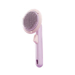 Pumpkin Pet Brush Self Cleaning Slicker Brush