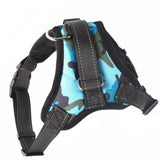 Pet Dog and Cat Adjustable Harness with Leash