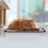 Washable Training Pad Car Seat Cover