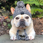 Winter Pet Hat Cap