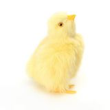 Simulation Lovely Plush Chick Toy Easter