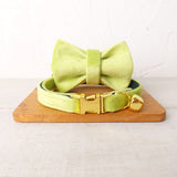 Velvet Cat Collar Personalized Customized ID