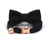 Velvet Cat Collar Personalized Customized ID