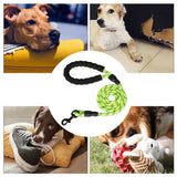 Nylon Training Dog Leash Webbing Recall