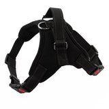 Pet Dog and Cat Adjustable Harness with Leash