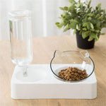 Non-Slip 2000ml High Capacity Cat Bowl