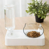 Non-Slip 2000ml High Capacity Cat Bowl