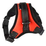 Pet Dog and Cat Adjustable Harness with Leash