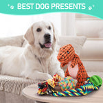 Dog Squeaky Toys Plush Puppy Toys