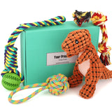 Dog Squeaky Toys Plush Puppy Toys