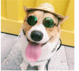 Pet Accessories Glasses Sunglasses Harness
