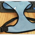 Pet Harness collar