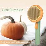 Pet Pumpkin Brush, Dog Accessories