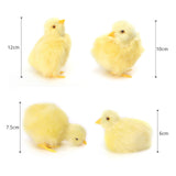 Simulation Lovely Plush Chick Toy Easter